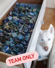 Load image into Gallery viewer, Team Treats