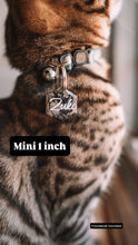 Load image into Gallery viewer, Mini 1 inch
