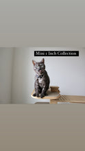 Load image into Gallery viewer, Mini 1 Inch Tags
