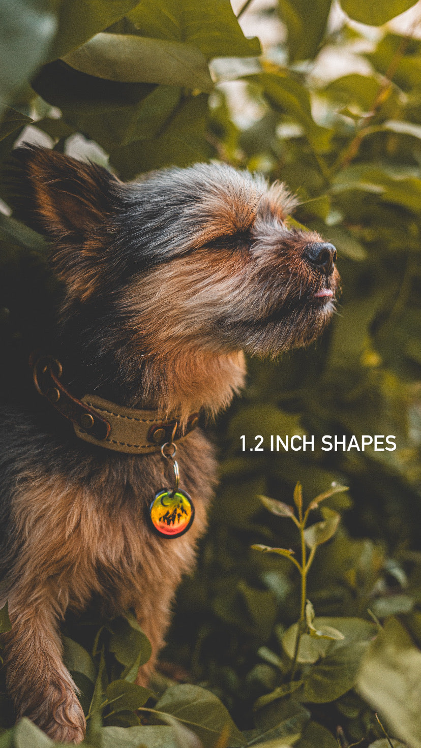 1.2 inch Shapes