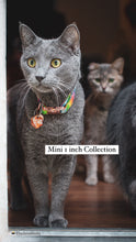 Load image into Gallery viewer, 1 inch Mini Collection
