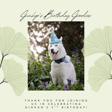 Load image into Gallery viewer, Ginkgo&#39;s Birthday Goodies
