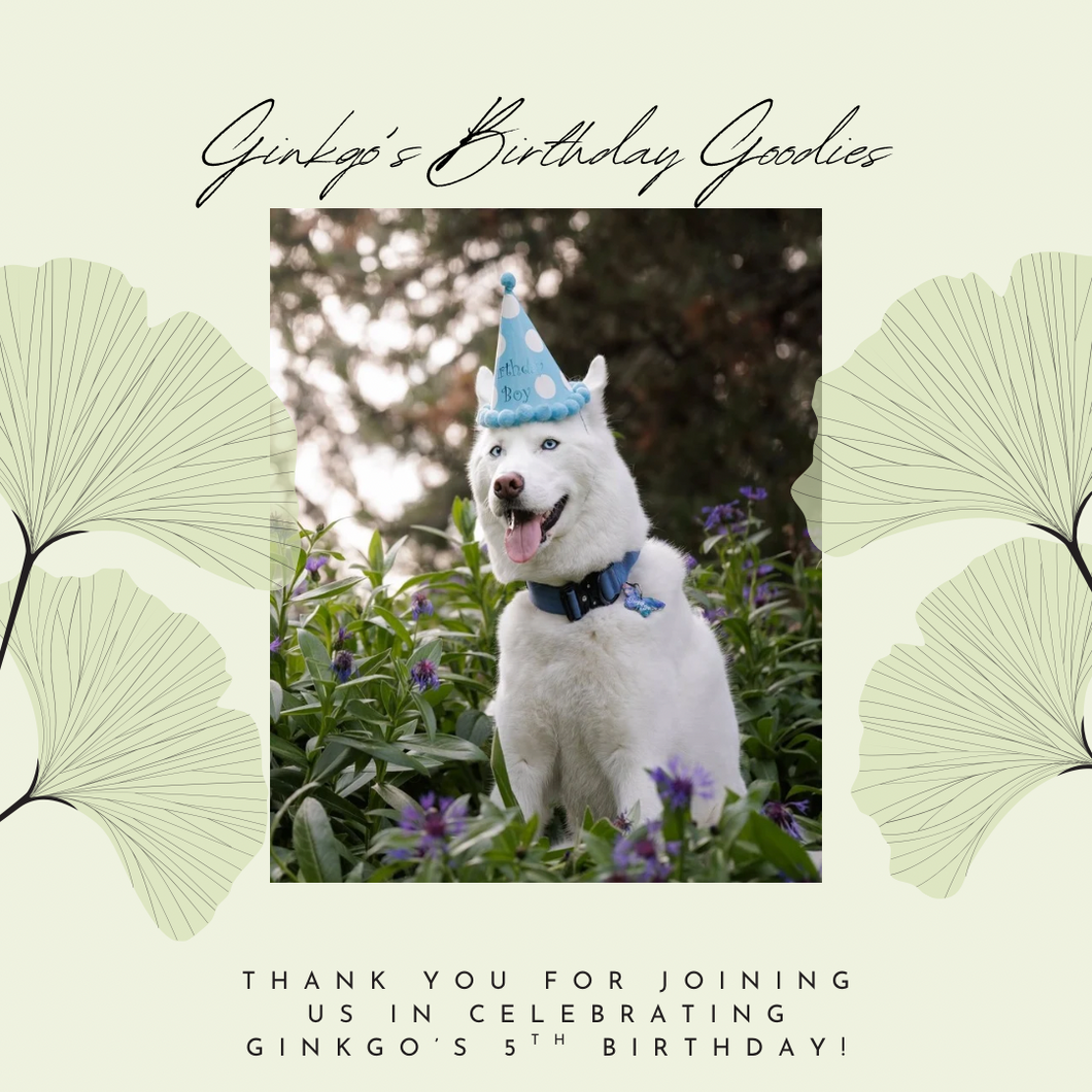 Ginkgo's Birthday Goodies